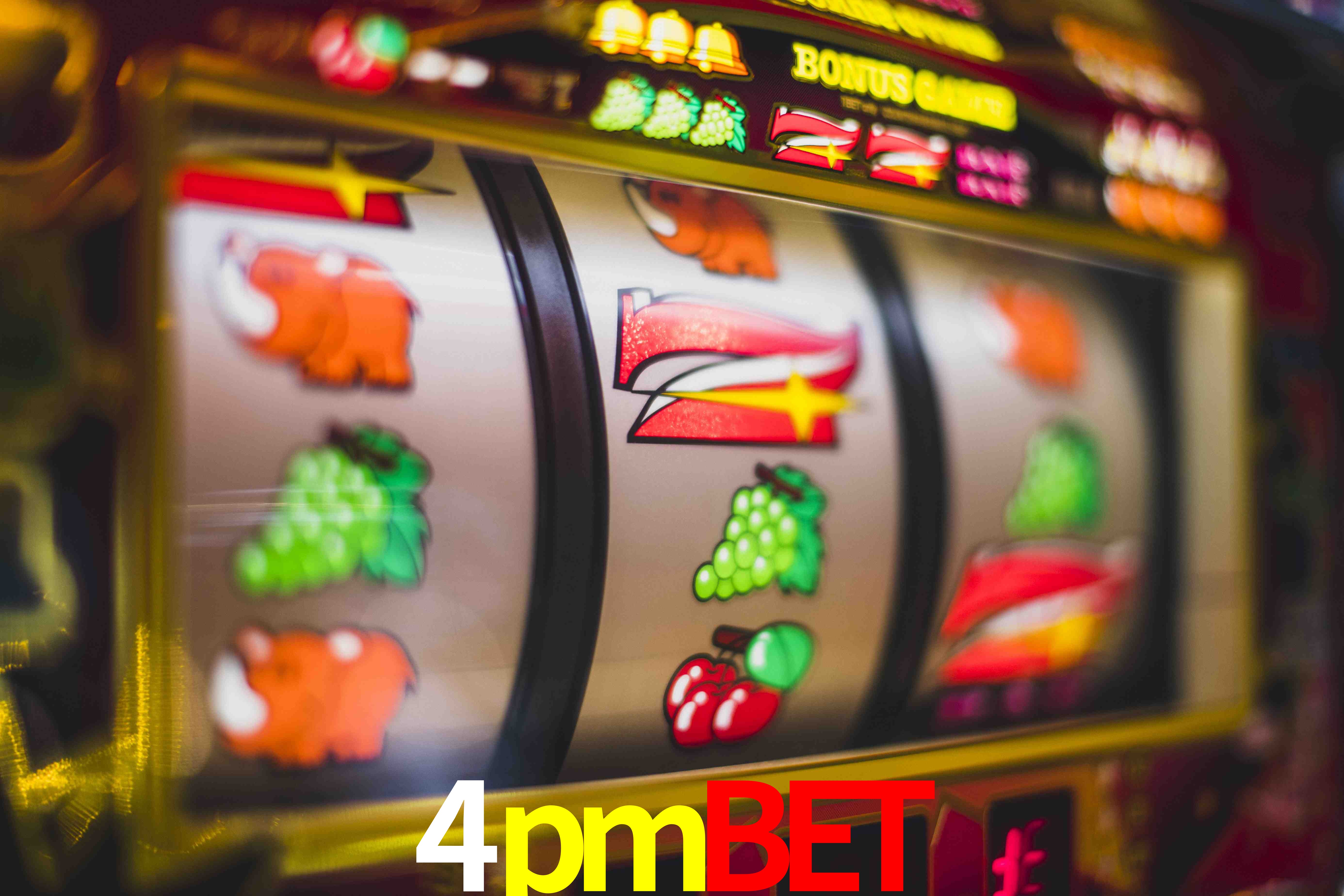 Sports Statistics 4pmbet